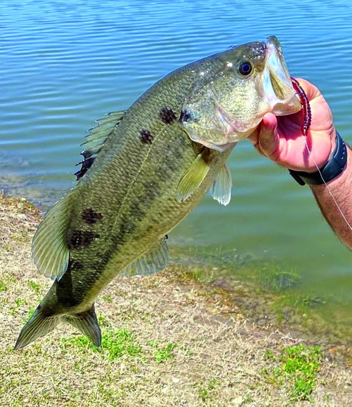Lake Eufaula Fishing Report