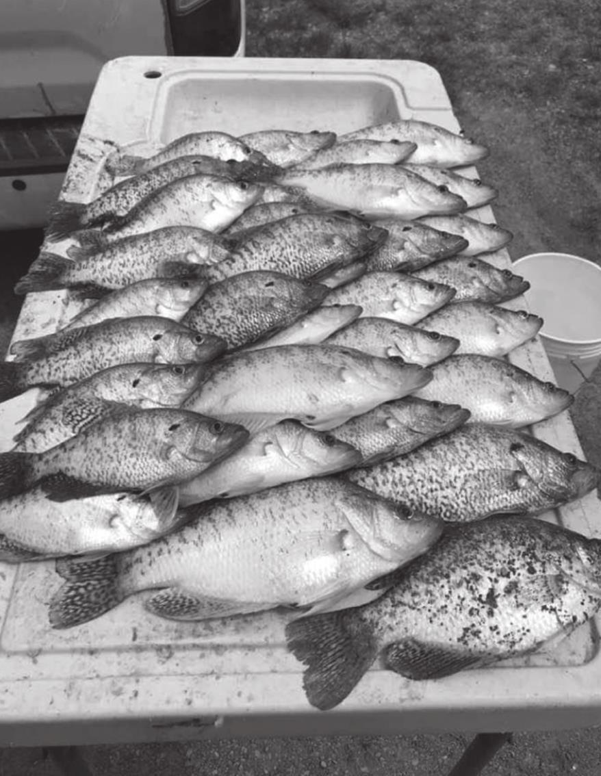 Lake Eufaula Fishing Report