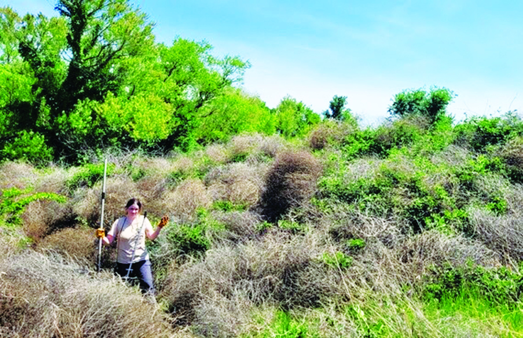 turkey-researchers-report-evidence-of-predation