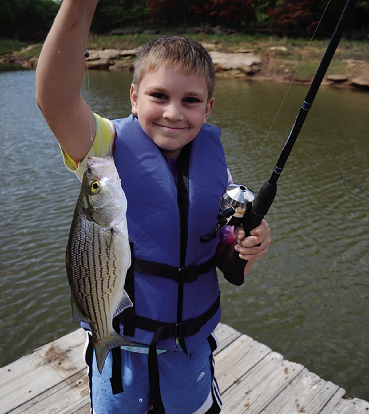 Hybrid Striped Bass for your farm pond